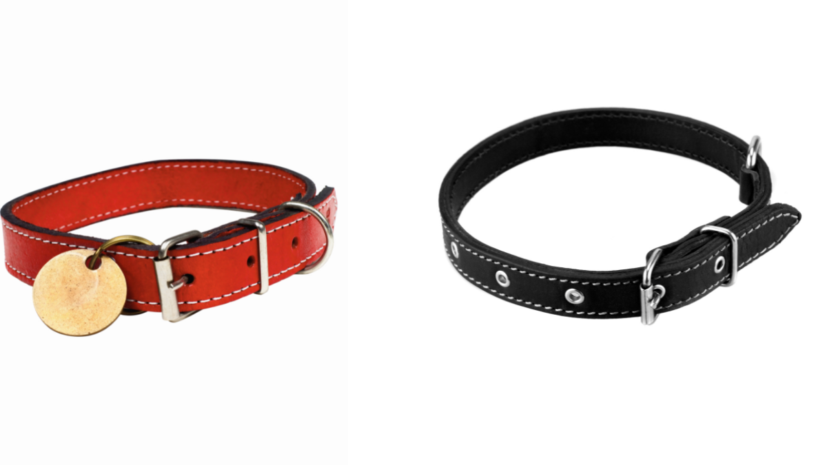 A Guide on How to Wash Your Dog's Collar