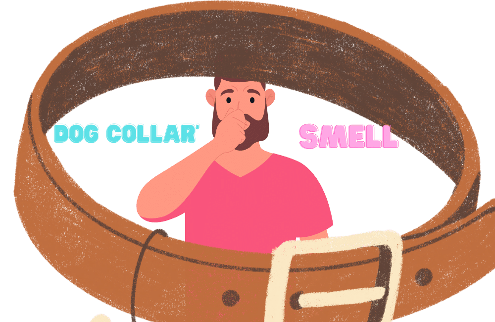 an illustration of a man is irritated with his dog collar smell.