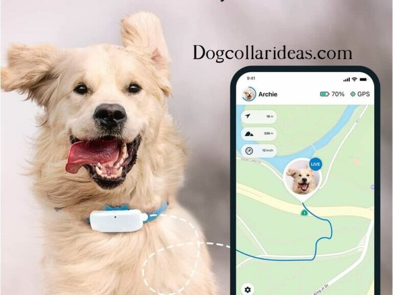 Top 10 GPS Dog Collars for Peace of Mind and Pet Safety